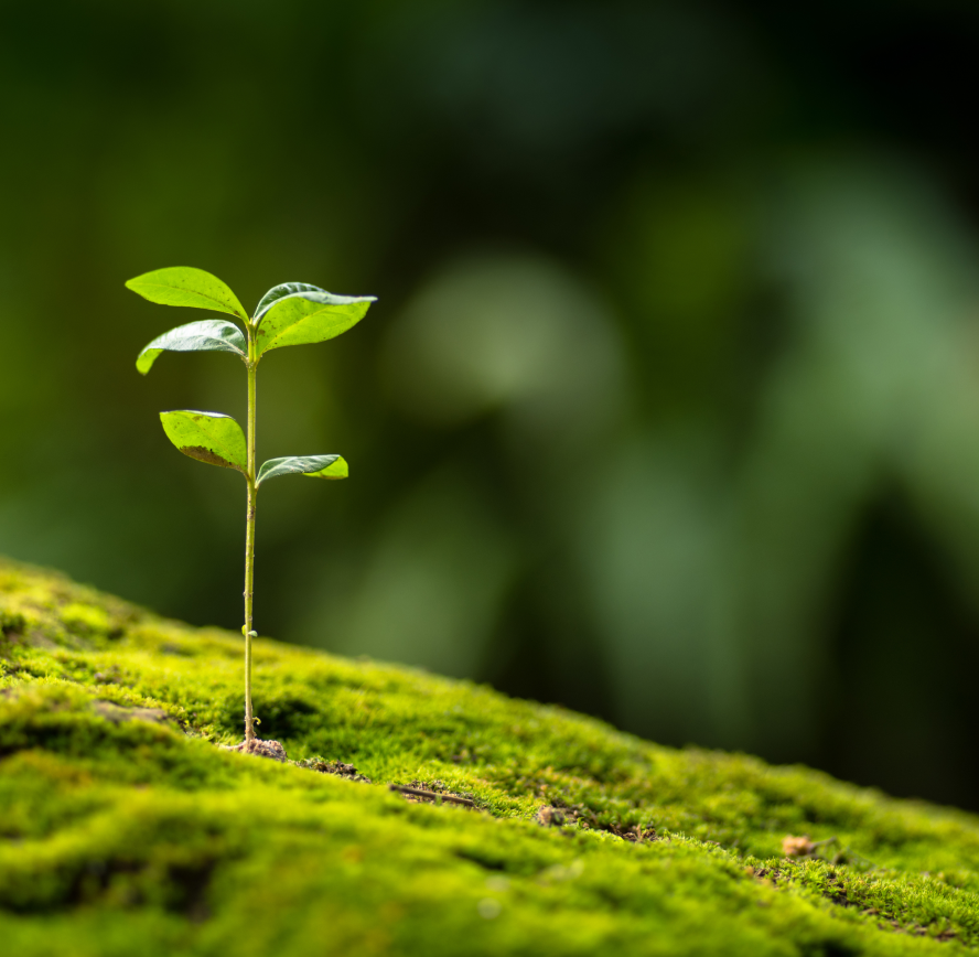 Engagement environnement